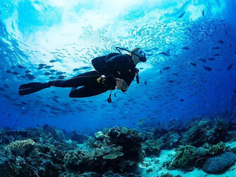 Buzo nadando entre peces en un arrecife de coral bajo el mar.