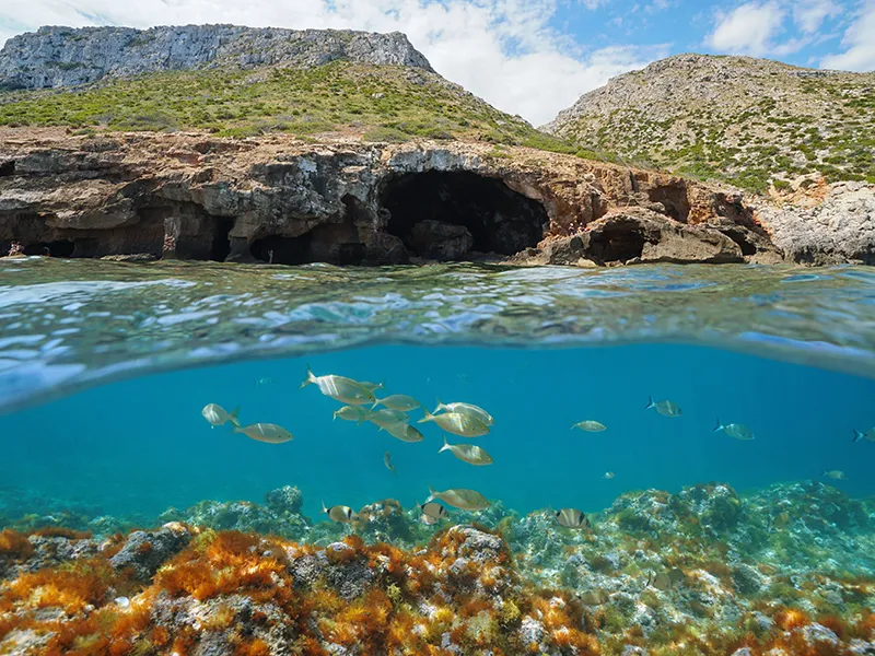 Peces bajo agua cerca de una cueva rocosa en la costa, cielo despejado.