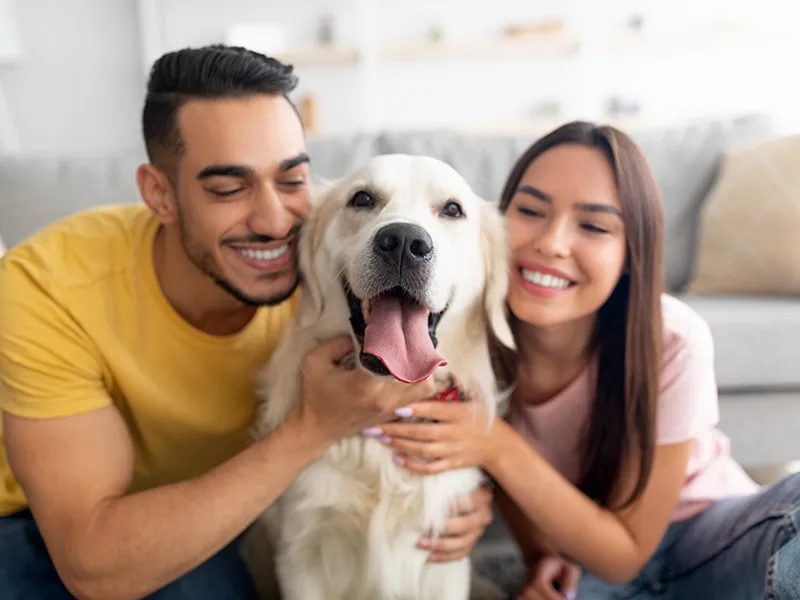 Pareja sonriente con su perro labrador sentado en el sof&aacute;.