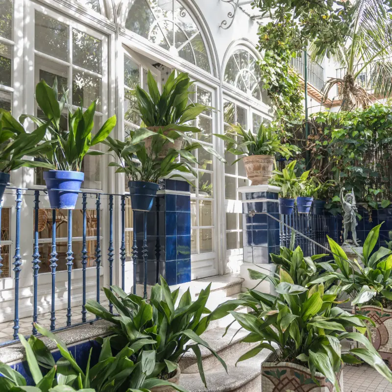 Patio con plantas en macetas azules frente a una puerta de vidrio.