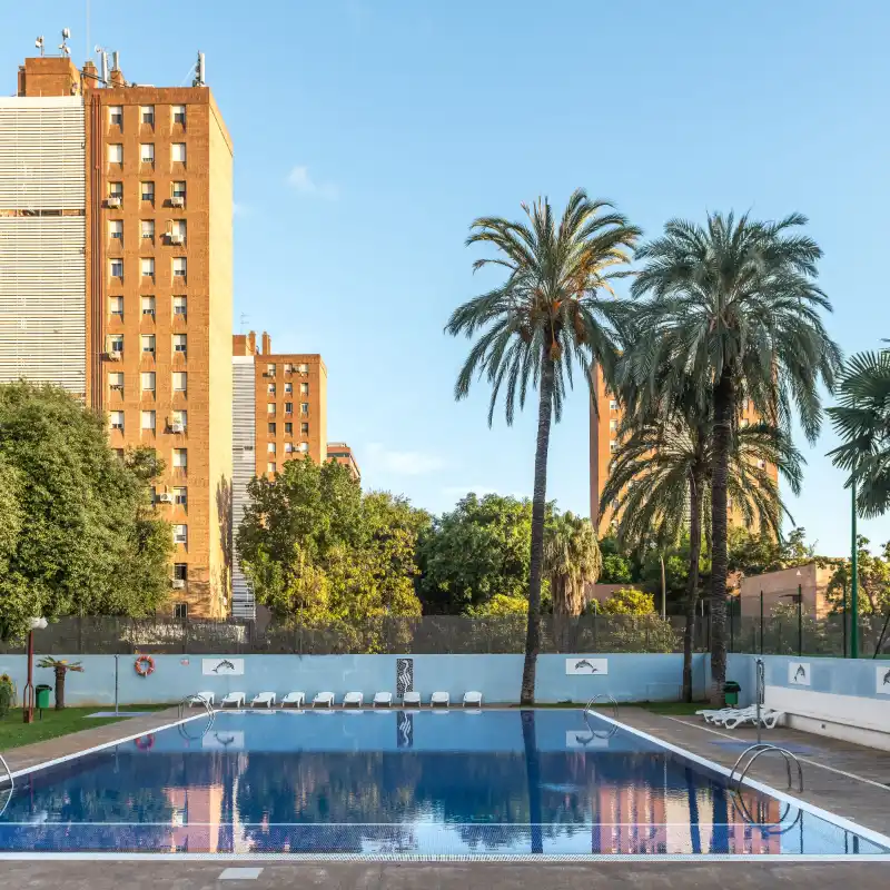 Piscina al aire libre con palmeras y edificios altos al fondo.