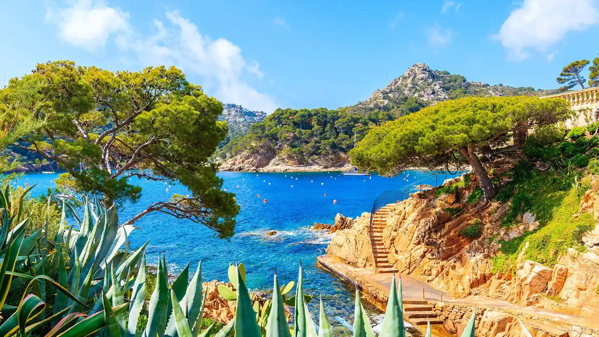 Costa rocosa con escaleras y pinos junto al mar azul.