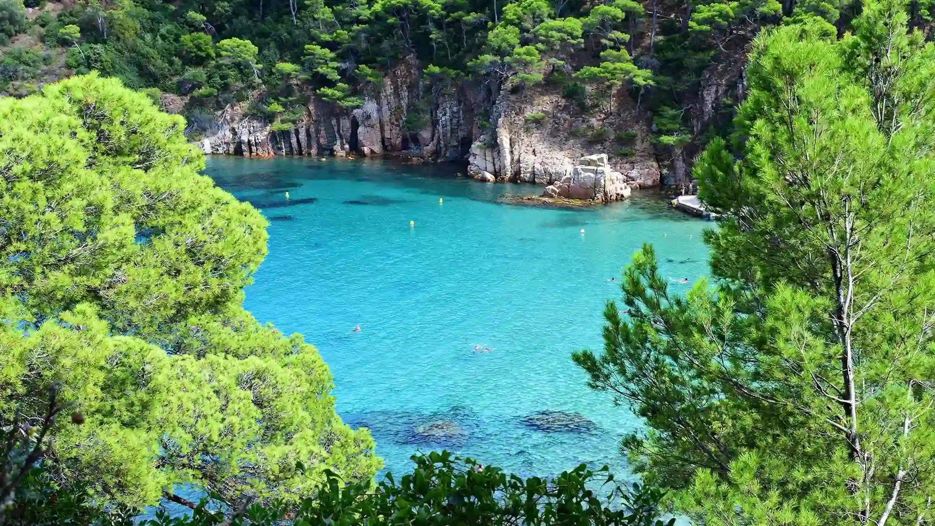 Bah&iacute;a con agua turquesa rodeada de acantilados y pinos verdes.