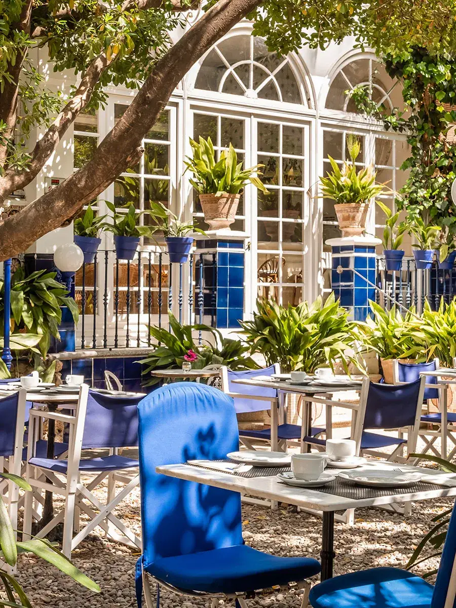 Patio acogedor con sillas azules, mesas dispuestas y plantas alrededor.