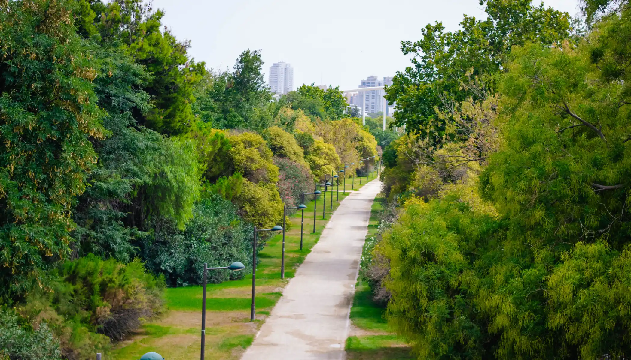 Localisation - hotel medium valencia - Medium hoteles