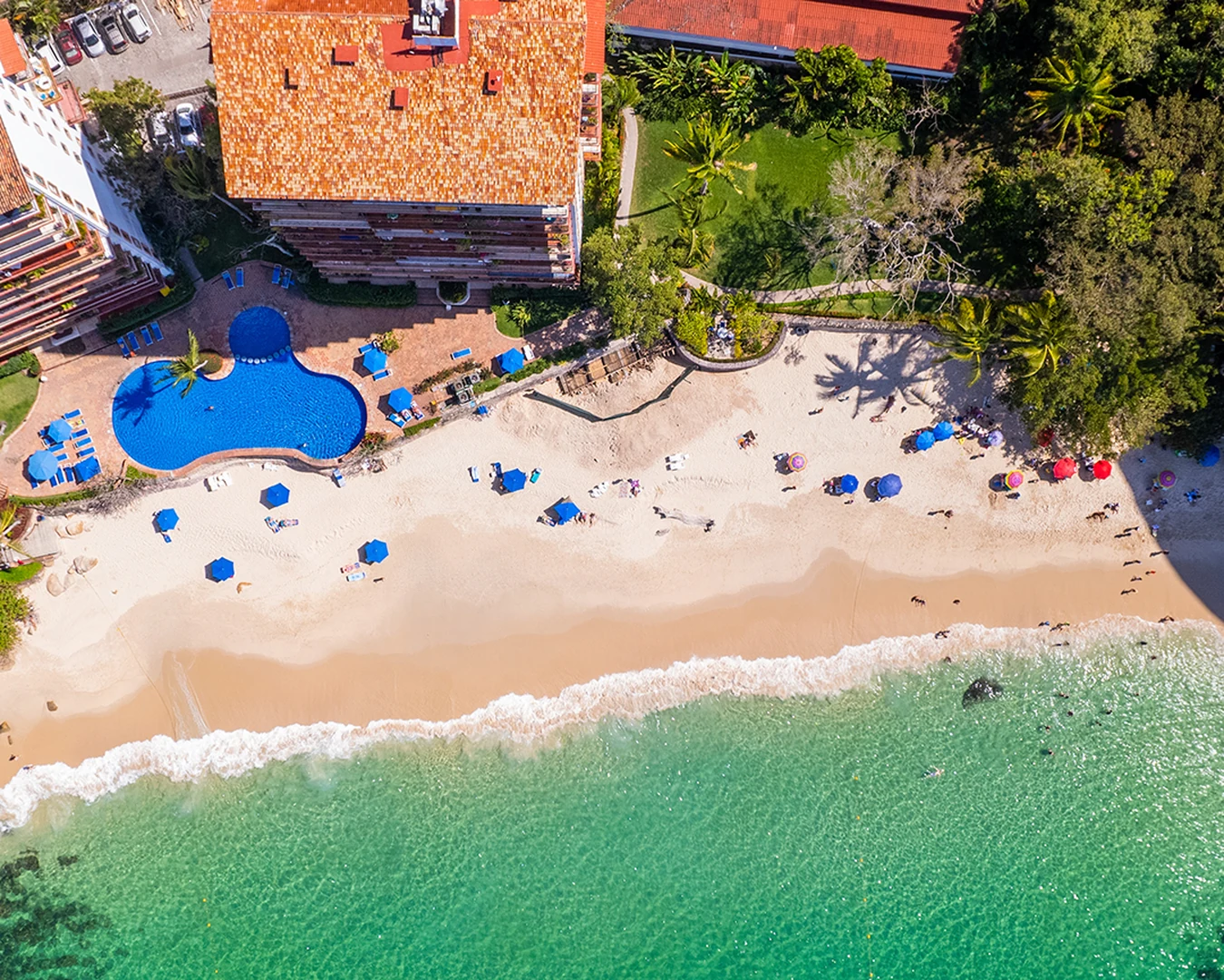 BeefDip Bear Week: todo sobre la semana internacional del oso en Vallarta - Pier 69