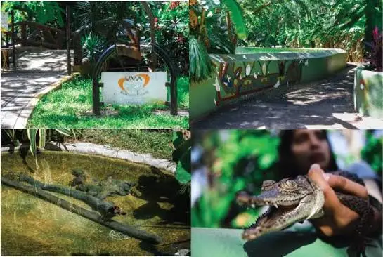 Reptilario Cipactli: Research and Conservation in Puerto Vallarta - Pier 69
