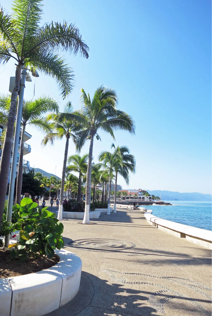 Paseo mar&iacute;timo con palmeras y vista al mar bajo un cielo despejado.