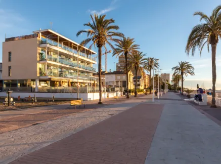 Paseo mar&iacute;timo con palmeras al atardecer y edificios modernos al fondo.