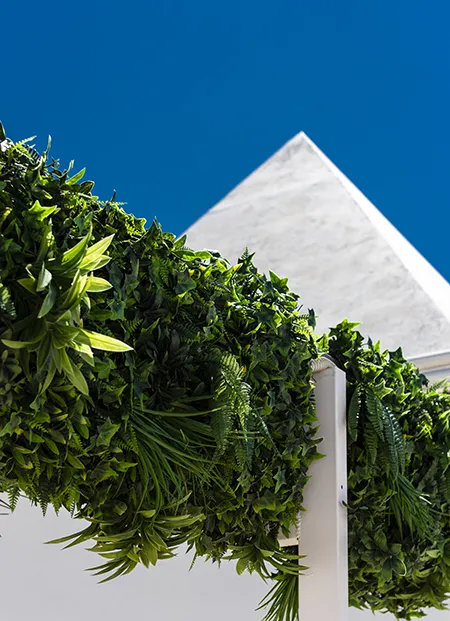 Tejado cubierto de plantas verdes con cielo azul de fondo.