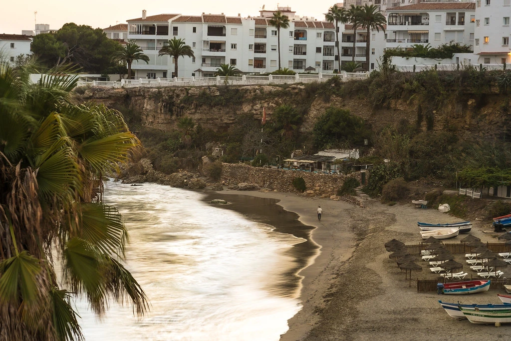 Playa con palmeras y edificios al fondo al atardecer.