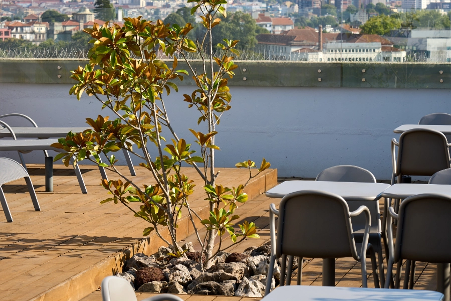Área externa com mesas e cadeiras, um arbusto e vista da cidade ao fundo.
