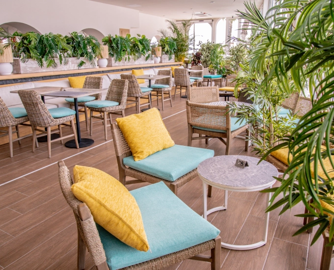 Caf&eacute; moderno con sillas coloridas y plantas decorativas.