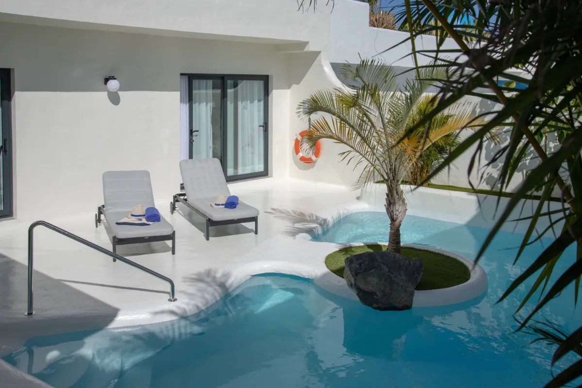 Patio con piscina, tumbonas y palmera al lado de un edificio blanco.