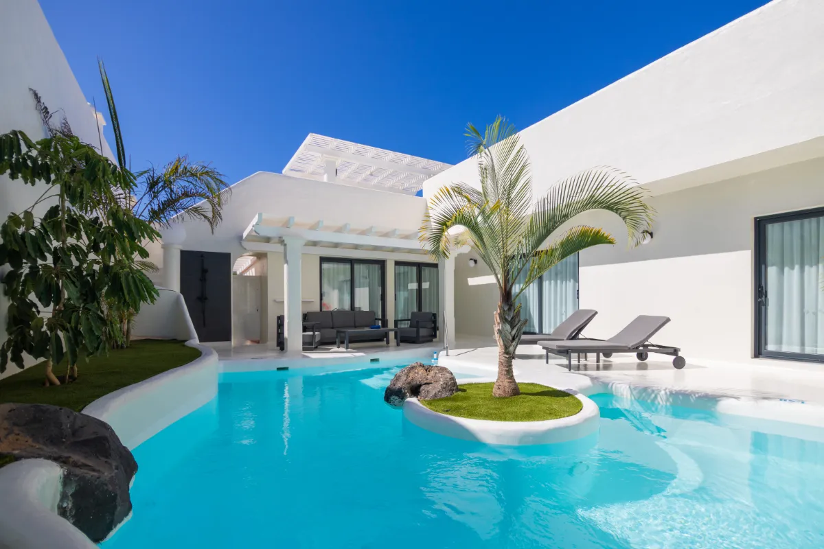Piscina azul con palmera y tumbonas en una moderna terraza blanca.
