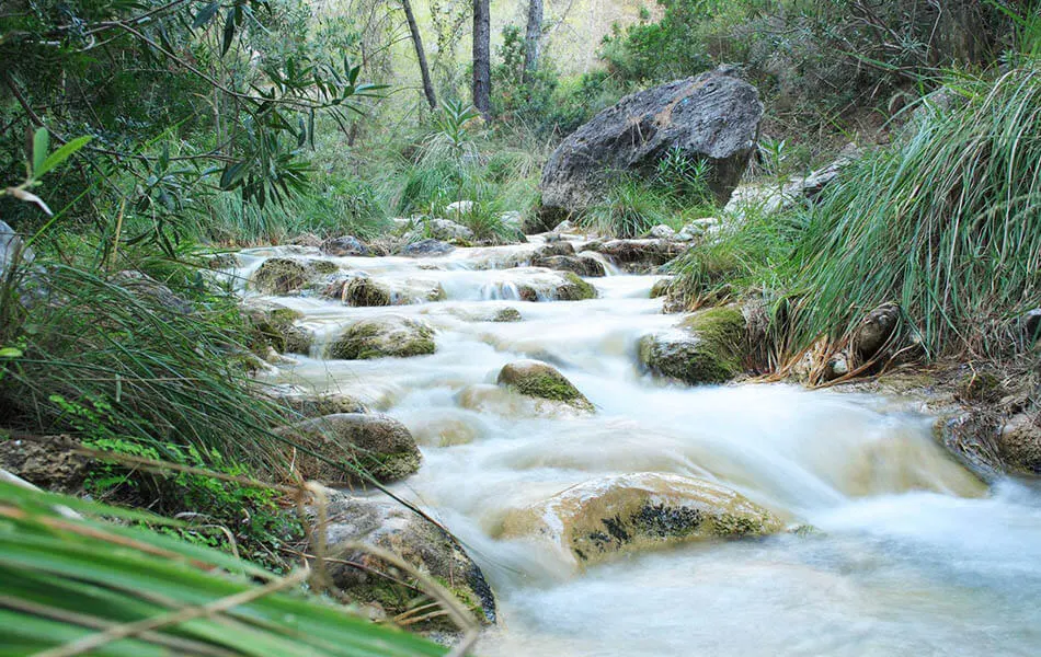 R&iacute;o fluye sobre rocas rodeado de vegetaci&oacute;n exuberante.