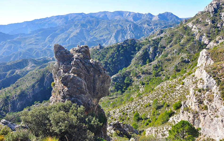 Formaciones rocosas y monta&ntilde;as cubiertas de vegetaci&oacute;n bajo un cielo despejado.