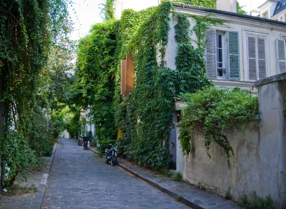 All&eacute;e pav&eacute;e bord&eacute;e de murs couverts de lierre et de b&acirc;timents haussmanniens
