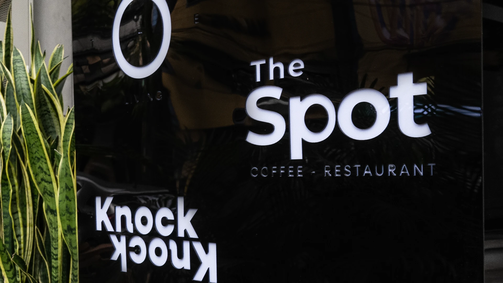 Letrero de "The Spot" caf&eacute;-restaurante con plantas al lado.