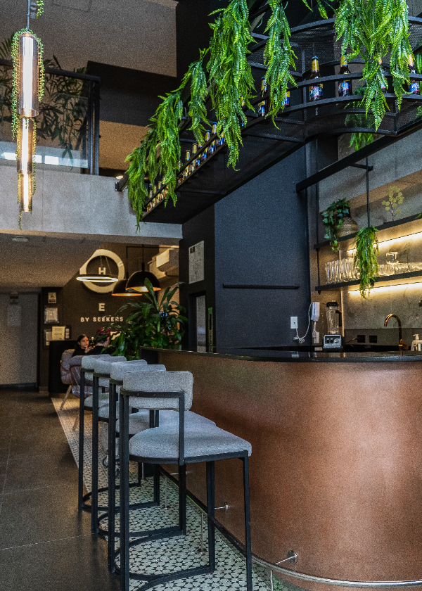 Barra moderna con taburetes y plantas colgantes en un ambiente acogedor.