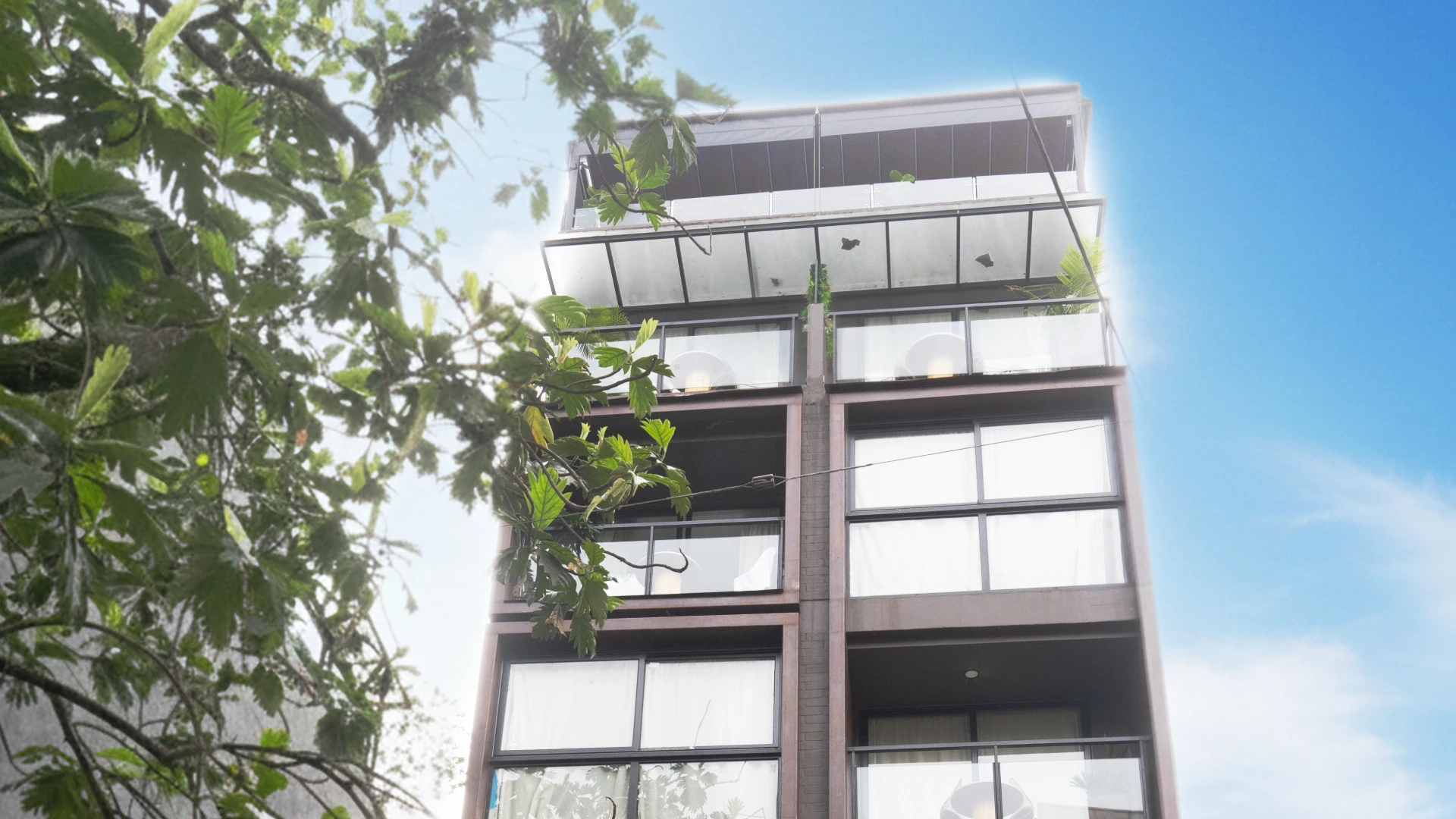 Edificio moderno con ventanas grandes y &aacute;rboles en primer plano.