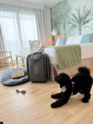 Petfriendly - Punta Candor Suites - HACE