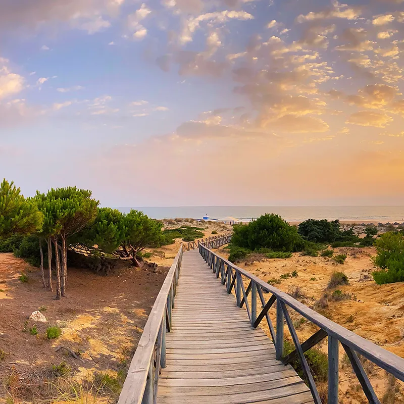 Pasarela de madera hacia la playa, con &aacute;rboles y cielo nublado al atardecer