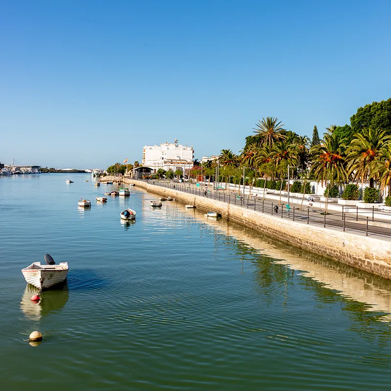 Paseo mar&iacute;timo con palmeras y barcos amarrados en un puerto al cielo azul