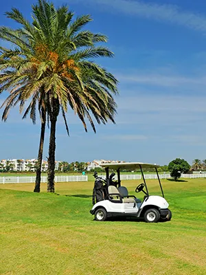 Carrito de golf junto a una palmera en un campo verde con cielo azul