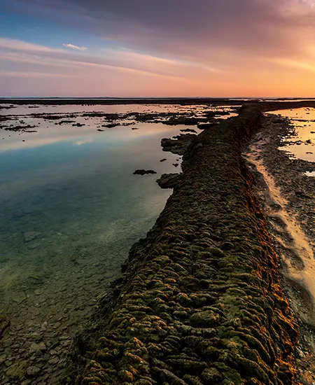 Sendero de rocas y costa al atardecer, con aguas tranquilas y cielo c&aacute;lido