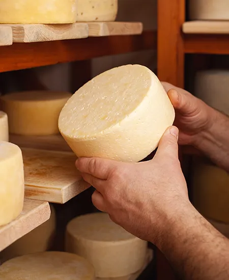 Manos sosteniendo un queso redondo sobre una tabla de madera