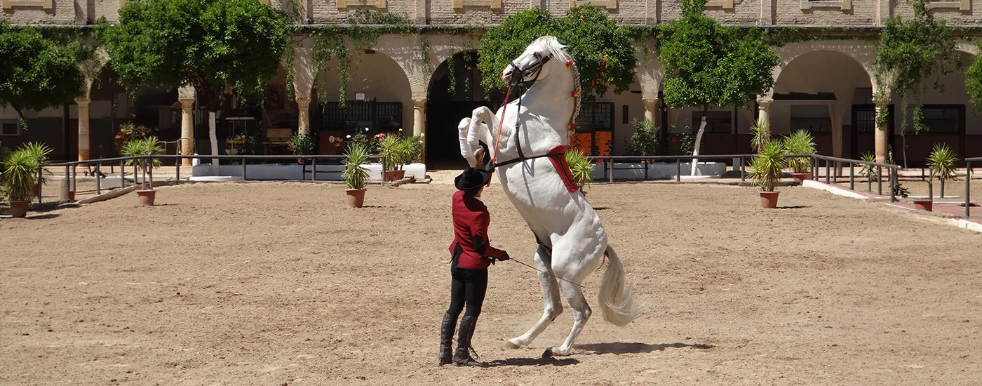 Jinete con traje rojo y blanco monta caballo en patio de arena con arcos