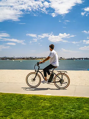 Persona pedaleando una bicicleta junto al mar en un d&iacute;a soleado