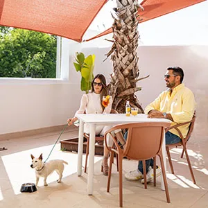 Pareja almorzando en terraza con palmera y perro cerca