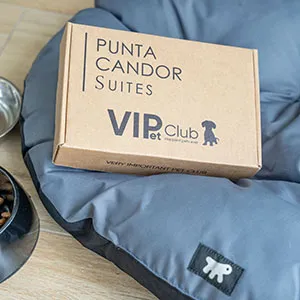 Caja de &ldquo;Punta C&aacute;ndor&rdquo; con logo &ldquo;VIP Jet Club&rdquo; sobre tela azul