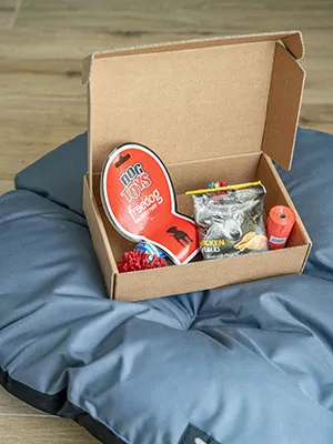 Caja de regalo con dulces, bocadillos y un paquete rojo sobre manta azul