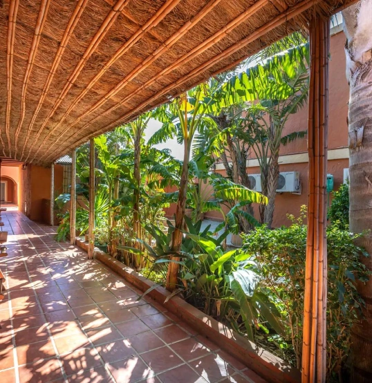 Pasillo con techo de ca&ntilde;a, plantas y piso de baldosas rojas.