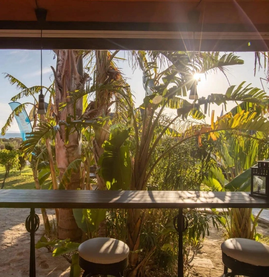 Vista de la terraza con palmeras y luz del sol al fondo.