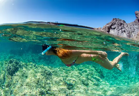 Snorkeler swimming in clear water over a rocky seabed.