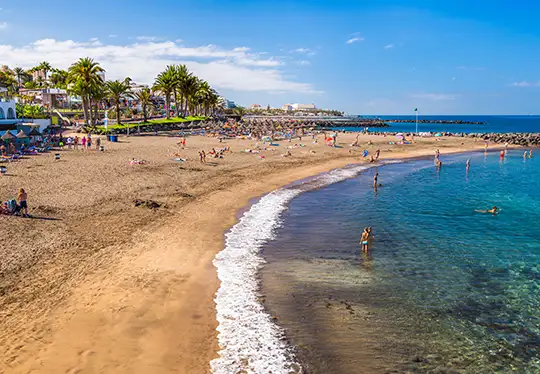 Sunny beach with blue water, people relaxing, and palm trees in the background.