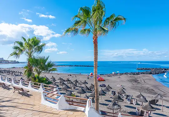 Sunny beach with palm trees, straw umbrellas, and clear blue sea.