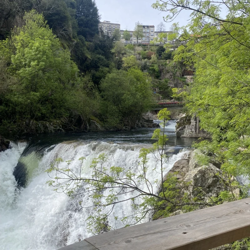 A Regi&atilde;o - Borralha Hotel & Spa