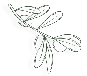 Desenho de duas m&atilde;os expressivas em gestos diferentes.