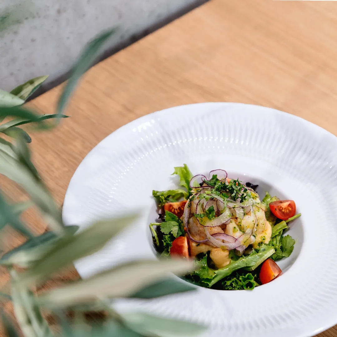 Salada gourmet servida em prato branco com folhas verdes e tomates.