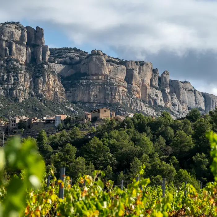 Paisatge de muntanyes rocoses amb vegetaci&oacute; i edificis al fons.