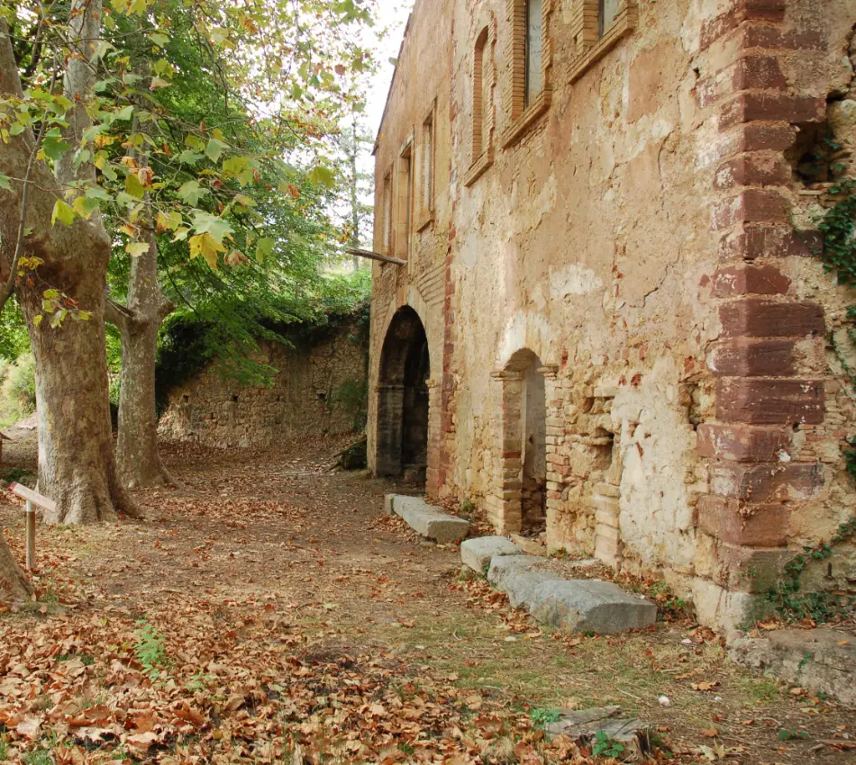 Ru&iuml;nes antigues amb fulles caigudes i arbres al voltant.