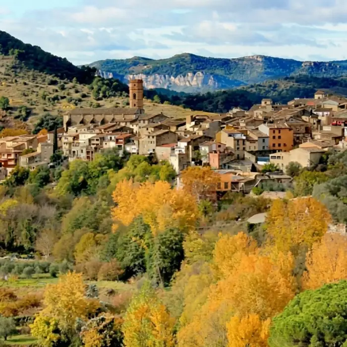 Paisatge de tardor amb poble al fons i turons de fons.