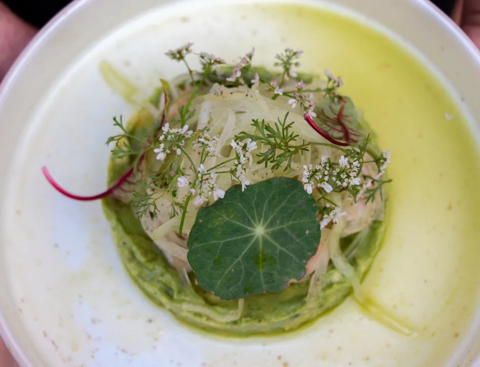 Gastronomy - Cigno Mejorada - Cigno Hotels