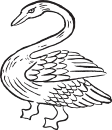 Cigno Hotels