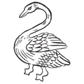 Our Story - Cigno Hotels